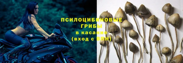 гидра Костерёво