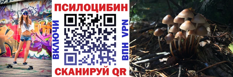 Псилоцибиновые грибы Cubensis Горячеводский
